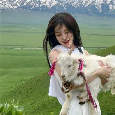 绘龙者